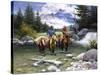 Clear Water Crossing-Jack Sorenson-Stretched Canvas