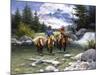 Clear Water Crossing-Jack Sorenson-Mounted Art Print