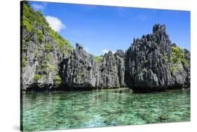 Clear Water in the Bacuit Archipelago, Palawan, Philippines-Michael Runkel-Stretched Canvas