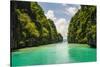 Clear Water in the Bacuit Archipelago, Palawan, Philippines-Michael Runkel-Stretched Canvas