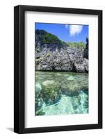 Clear Water in the Bacuit Archipelago, Palawan, Philippines-Michael Runkel-Framed Photographic Print