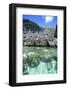 Clear Water in the Bacuit Archipelago, Palawan, Philippines-Michael Runkel-Framed Photographic Print