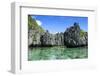 Clear Water in the Bacuit Archipelago, Palawan, Philippines-Michael Runkel-Framed Photographic Print