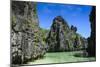 Clear Water in the Bacuit Archipelago, Palawan, Philippines-Michael Runkel-Mounted Photographic Print