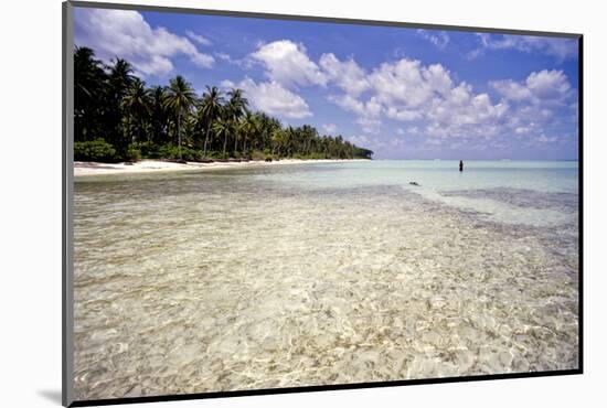 Clear Water Off Bangaram Island, Lakshadweep Islands, India, Indian Ocean, Asia-Balan Madhavan-Mounted Photographic Print