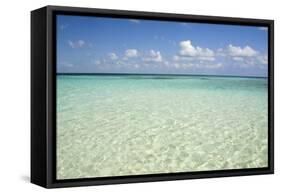 Clear Water View of the Caribbean Sea, Goff Caye, Belize-Cindy Miller Hopkins-Framed Stretched Canvas