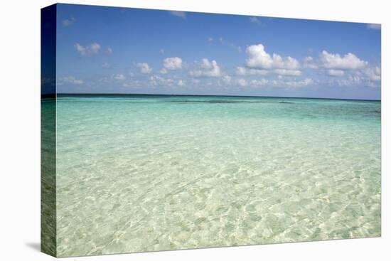 Clear Water View of the Caribbean Sea, Goff Caye, Belize-Cindy Miller Hopkins-Stretched Canvas