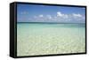 Clear Water View of the Caribbean Sea, Goff Caye, Belize-Cindy Miller Hopkins-Framed Stretched Canvas