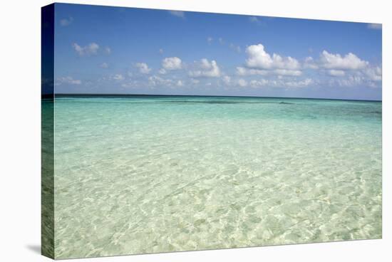 Clear Water View of the Caribbean Sea, Goff Caye, Belize-Cindy Miller Hopkins-Stretched Canvas