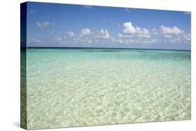 Clear Water View of the Caribbean Sea, Goff Caye, Belize-Cindy Miller Hopkins-Stretched Canvas