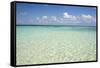 Clear Water View of the Caribbean Sea, Goff Caye, Belize-Cindy Miller Hopkins-Framed Stretched Canvas