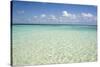 Clear Water View of the Caribbean Sea, Goff Caye, Belize-Cindy Miller Hopkins-Stretched Canvas