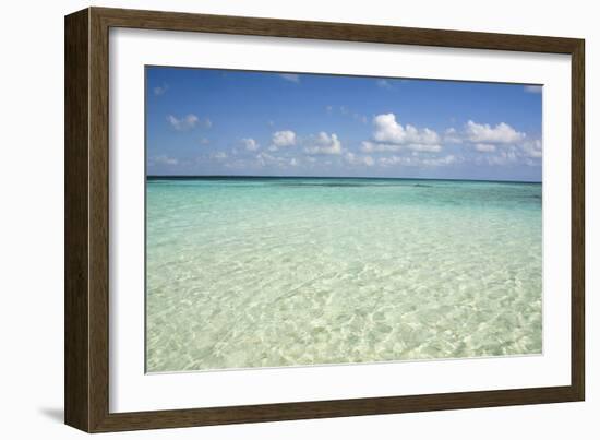 Clear Water View of the Caribbean Sea, Goff Caye, Belize-Cindy Miller Hopkins-Framed Photographic Print