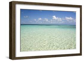 Clear Water View of the Caribbean Sea, Goff Caye, Belize-Cindy Miller Hopkins-Framed Photographic Print