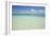 Clear Water View of the Caribbean Sea, Goff Caye, Belize-Cindy Miller Hopkins-Framed Photographic Print