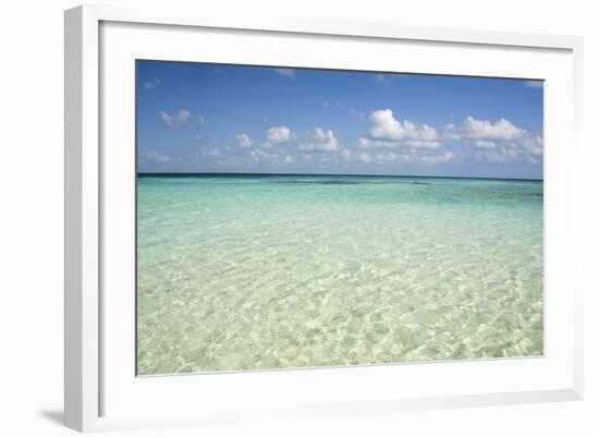 Clear Water View of the Caribbean Sea, Goff Caye, Belize-Cindy Miller Hopkins-Framed Photographic Print