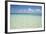 Clear Water View of the Caribbean Sea, Goff Caye, Belize-Cindy Miller Hopkins-Framed Photographic Print