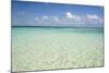 Clear Water View of the Caribbean Sea, Goff Caye, Belize-Cindy Miller Hopkins-Mounted Photographic Print
