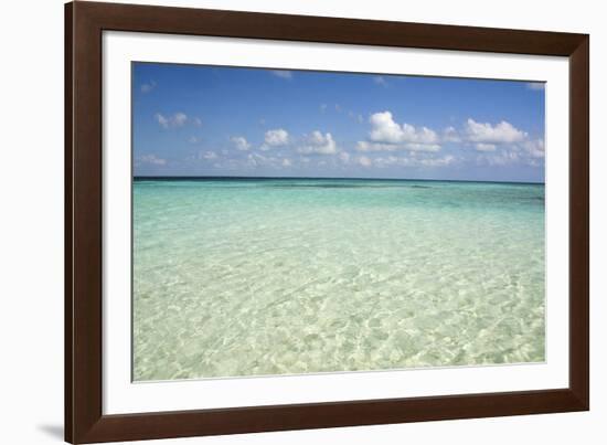 Clear Water View of the Caribbean Sea, Goff Caye, Belize-Cindy Miller Hopkins-Framed Photographic Print