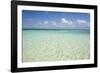 Clear Water View of the Caribbean Sea, Goff Caye, Belize-Cindy Miller Hopkins-Framed Photographic Print