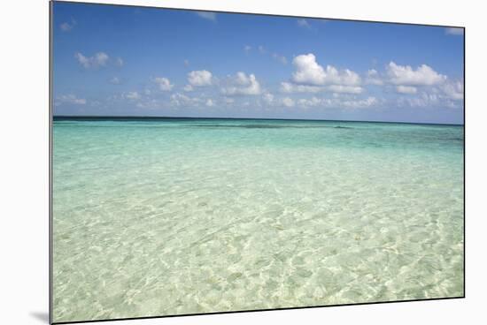 Clear Water View of the Caribbean Sea, Goff Caye, Belize-Cindy Miller Hopkins-Mounted Photographic Print