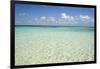 Clear Water View of the Caribbean Sea, Goff Caye, Belize-Cindy Miller Hopkins-Framed Photographic Print