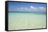 Clear Water View of the Caribbean Sea, Goff Caye, Belize-Cindy Miller Hopkins-Framed Stretched Canvas