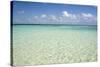 Clear Water View of the Caribbean Sea, Goff Caye, Belize-Cindy Miller Hopkins-Stretched Canvas