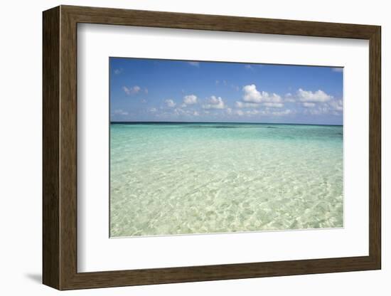 Clear Water View of the Caribbean Sea, Goff Caye, Belize-Cindy Miller Hopkins-Framed Photographic Print