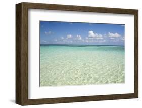 Clear Water View of the Caribbean Sea, Goff Caye, Belize-Cindy Miller Hopkins-Framed Photographic Print