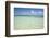 Clear Water View of the Caribbean Sea, Goff Caye, Belize-Cindy Miller Hopkins-Framed Photographic Print