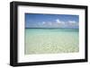 Clear Water View of the Caribbean Sea, Goff Caye, Belize-Cindy Miller Hopkins-Framed Photographic Print