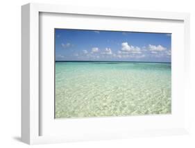 Clear Water View of the Caribbean Sea, Goff Caye, Belize-Cindy Miller Hopkins-Framed Photographic Print