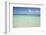 Clear Water View of the Caribbean Sea, Goff Caye, Belize-Cindy Miller Hopkins-Framed Photographic Print