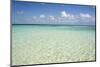 Clear Water View of the Caribbean Sea, Goff Caye, Belize-Cindy Miller Hopkins-Mounted Photographic Print