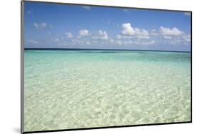 Clear Water View of the Caribbean Sea, Goff Caye, Belize-Cindy Miller Hopkins-Mounted Photographic Print