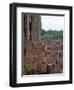 Clearcut in Olympic National Forest-James Randklev-Framed Photographic Print