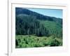 Clearcuts in Spruce-Fir Forest, Siskiyou National Forest, Siskiyou Mountains, Oregon, USA-Jerry & Marcy Monkman-Framed Photographic Print