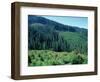 Clearcuts in Spruce-Fir Forest, Siskiyou National Forest, Siskiyou Mountains, Oregon, USA-Jerry & Marcy Monkman-Framed Photographic Print