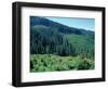 Clearcuts in Spruce-Fir Forest, Siskiyou National Forest, Siskiyou Mountains, Oregon, USA-Jerry & Marcy Monkman-Framed Photographic Print