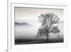 Clearing Fog-Danita Delimont-Framed Photo