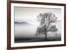 Clearing Fog-Danita Delimont-Framed Photo