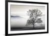 Clearing Fog-Danita Delimont-Framed Photo