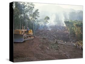 Clearing Forest for Building of the Forest Edge Highway in High Jungle Region of Tarapoto, Peru-Derrick Furlong-Stretched Canvas