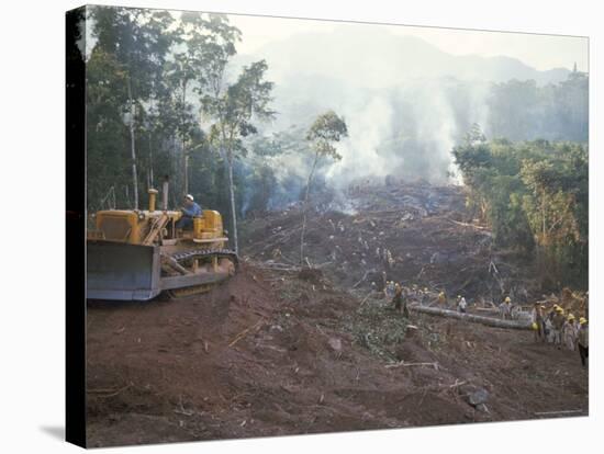 Clearing Forest for Building of the Forest Edge Highway in High Jungle Region of Tarapoto, Peru-Derrick Furlong-Stretched Canvas