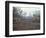 Clearing Forest for Building of the Forest Edge Highway in High Jungle Region of Tarapoto, Peru-Derrick Furlong-Framed Photographic Print