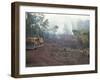 Clearing Forest for Building of the Forest Edge Highway in High Jungle Region of Tarapoto, Peru-Derrick Furlong-Framed Photographic Print