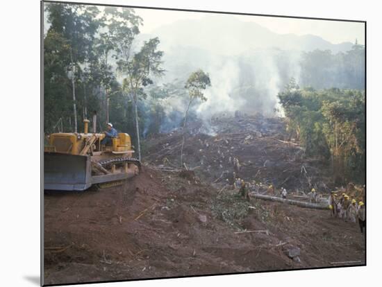 Clearing Forest for Building of the Forest Edge Highway in High Jungle Region of Tarapoto, Peru-Derrick Furlong-Mounted Photographic Print