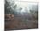 Clearing Forest for Building of the Forest Edge Highway in High Jungle Region of Tarapoto, Peru-Derrick Furlong-Mounted Photographic Print