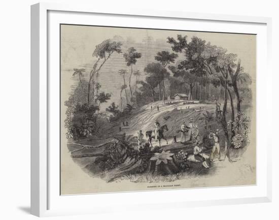Clearing in a Brazilian Forest-null-Framed Giclee Print